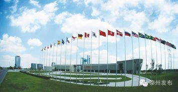 新春開門紅 20個產業化項目扎堆中國醫藥城，技術服務開啟新篇章